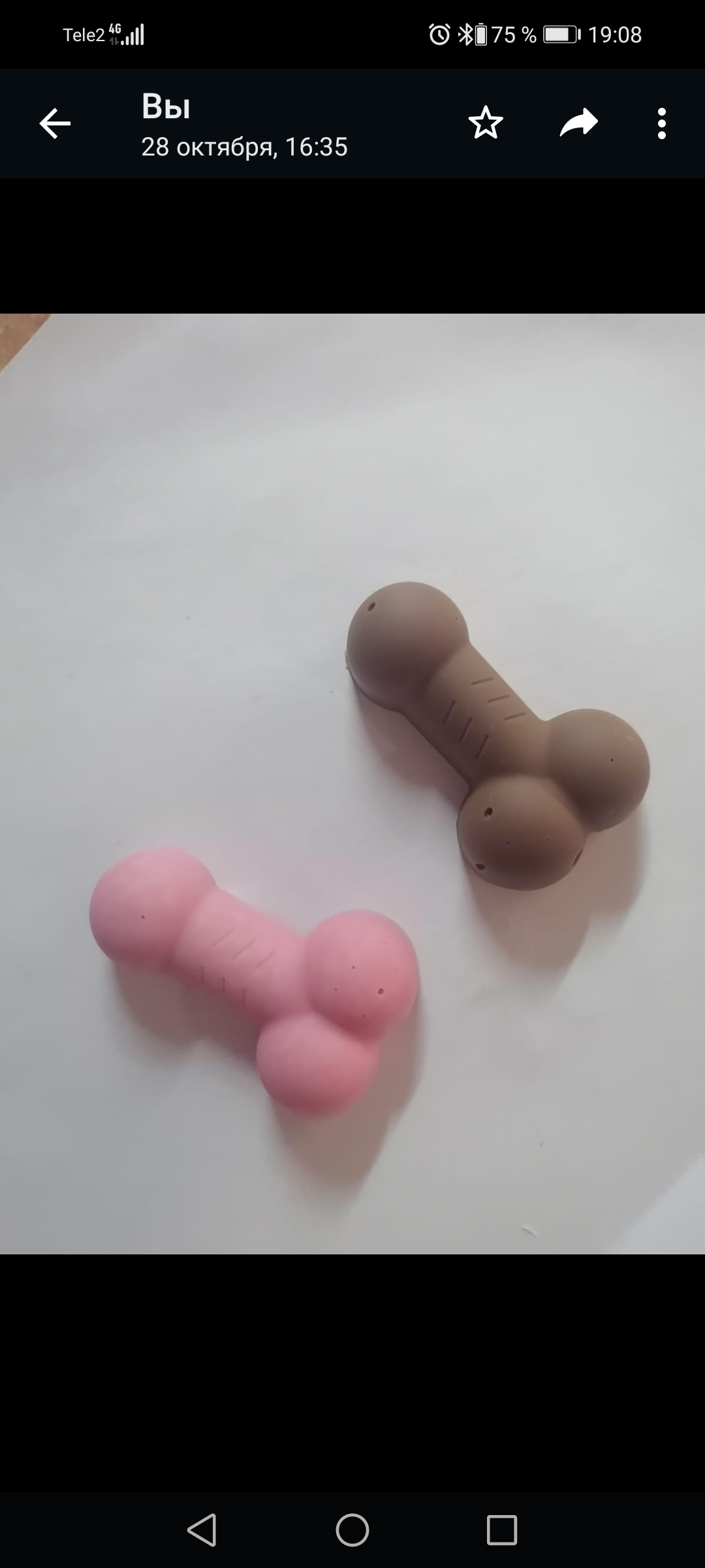Фотография покупателя товара Форма для льда и шоколада «Нежно», силикон, 18.5 х 14.2 х 1.6 см, цвет розовый 18+ - Фото 5