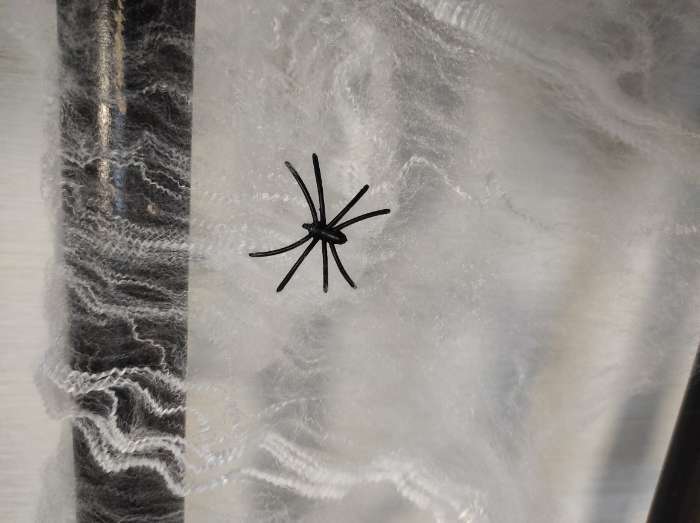 Фотография покупателя товара Набор для проведения Хэллоуина «Страх, ужас и пауки», 29 предметов - Фото 5