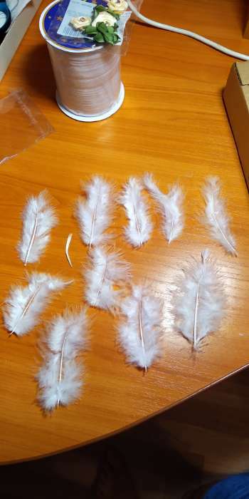 Фотография покупателя товара Набор перьев для декора 10 шт., размер 1 шт: 10 × 2 см, цвет жёлтый - Фото 14