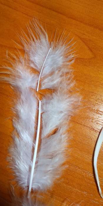 Фотография покупателя товара Набор перьев для декора 10 шт., размер 1 шт: 10 × 2 см, цвет белый - Фото 12