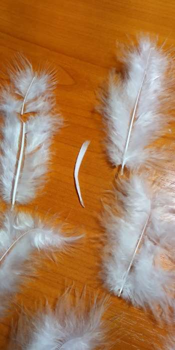 Фотография покупателя товара Набор перьев для декора 10 шт., размер 1 шт: 10 × 2 см, цвет голубой - Фото 15