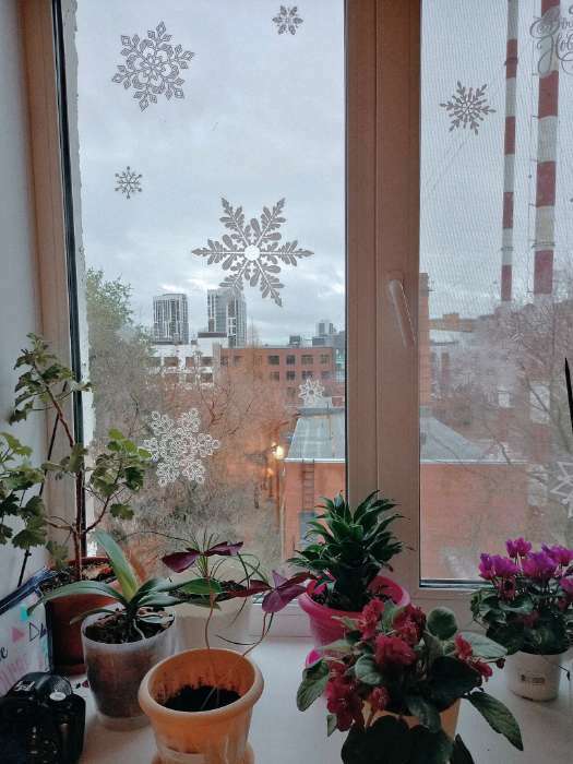 Фотография покупателя товара Наклейка для окон «Волшебные снежинки» , многоразовая, 50 х 70 см