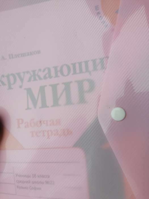 Фотография покупателя товара Папка-конверт на кнопке А4, 180 мкм, ErichKrause Diagonal Pastel, с тиснением, непрозрачная, микс - Фото 6