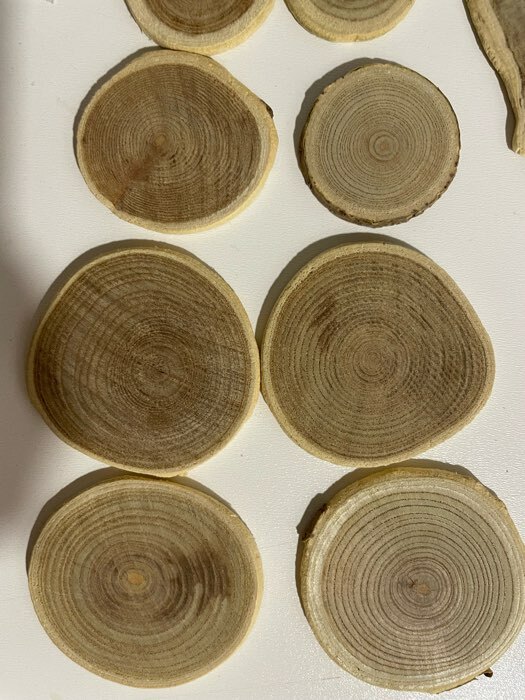 Фотография покупателя товара Декор из дерева «Спилы» серебро, набор 55 г, размер: от 2 до 10 см - Фото 7