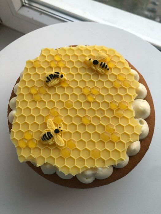 Фотография покупателя товара Молд Доляна «Пчелиные соты», силикон, 17×12,5×0,5 см, цвет МИКС - Фото 4