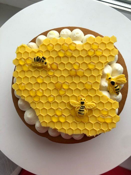 Фотография покупателя товара Молд Доляна «Пчелиные соты», силикон, 17×12,5×0,5 см, цвет МИКС