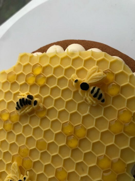 Фотография покупателя товара Молд Доляна «Пчелиные соты», силикон, 17×12,5×0,5 см, цвет МИКС - Фото 3