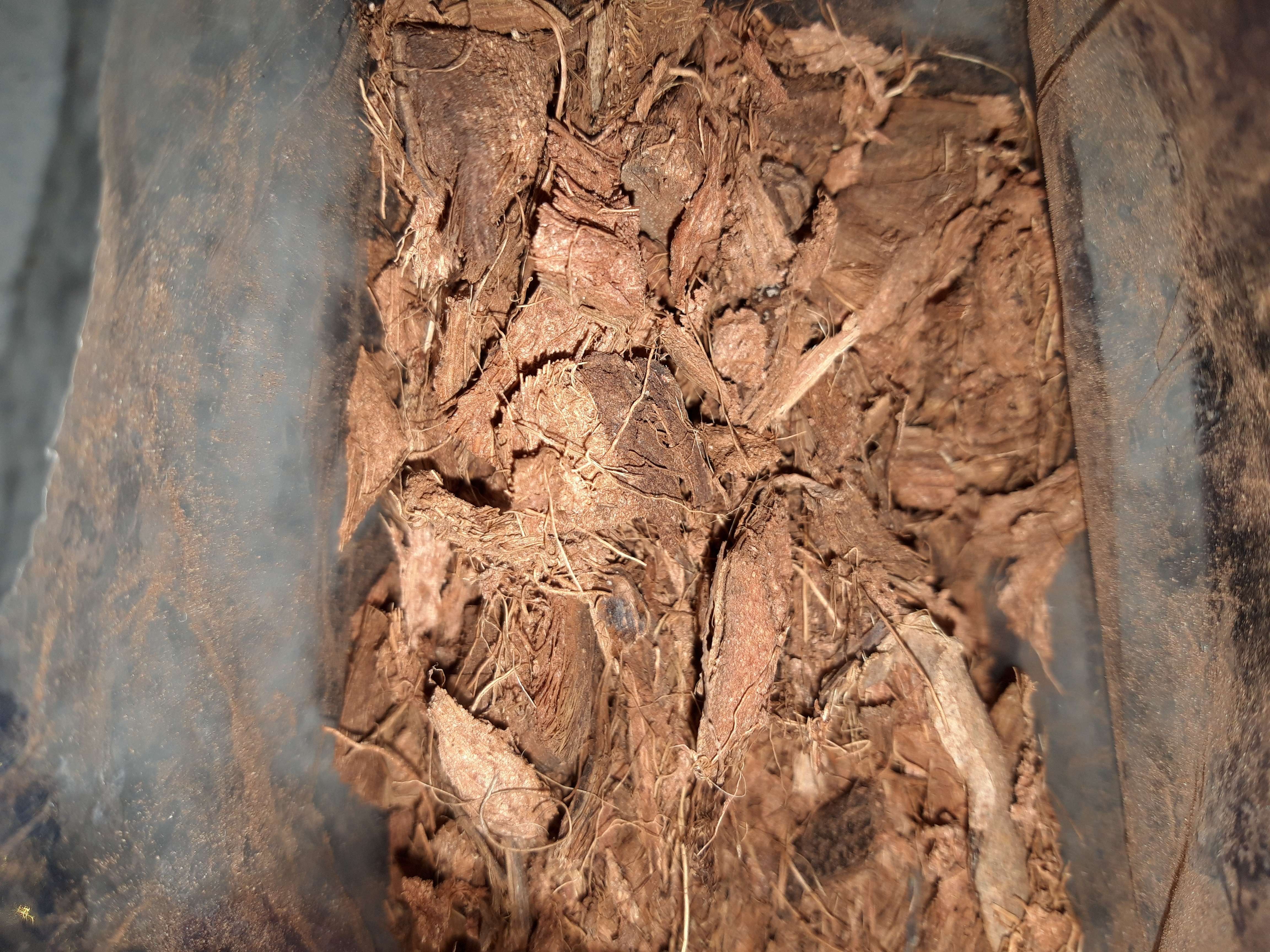 Фотография покупателя товара Субстрат Greengo кокосовые чипсы, натуральный грунт для террариумов и растений, в брикете, 5 л при разбухании - Фото 5