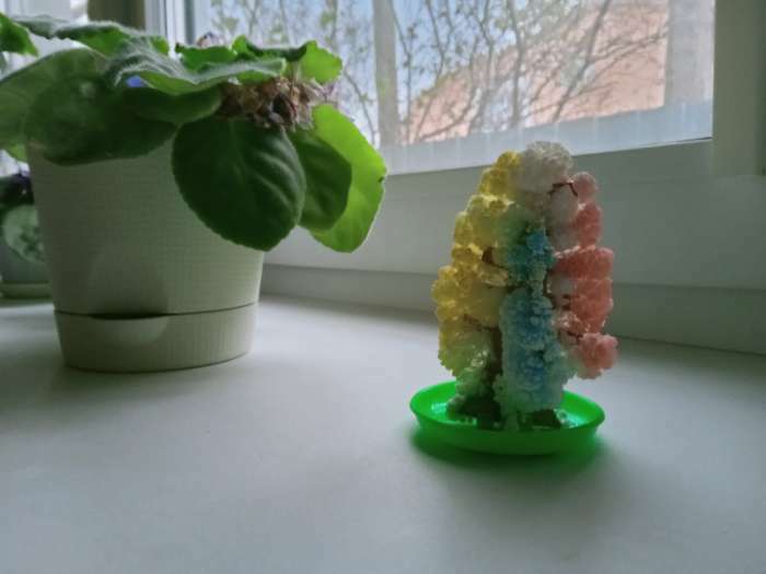Фотография покупателя товара Набор для выращивания кристалла «Волшебное дерево» цвет разноцветный - Фото 18