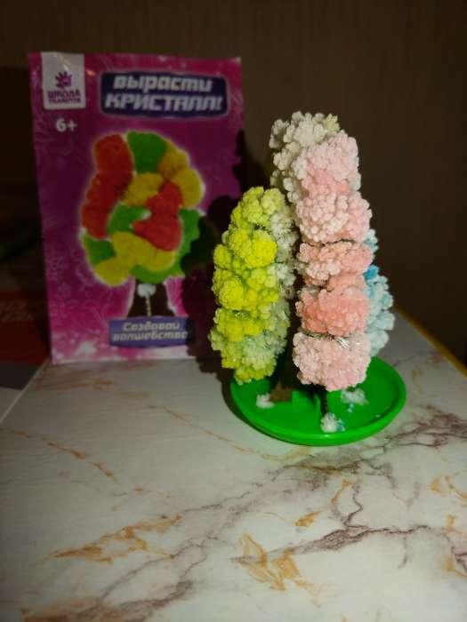 Фотография покупателя товара Набор для выращивания кристалла «Волшебное дерево» цвет разноцветный - Фото 16