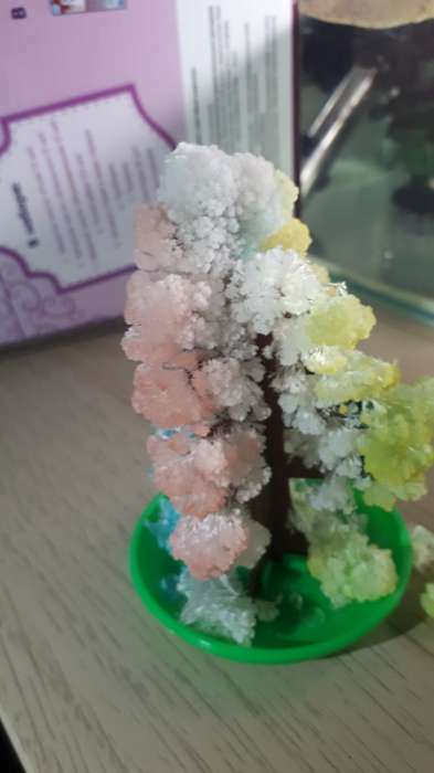Фотография покупателя товара Набор для выращивания кристалла «Волшебное дерево» цвет жёлтый - Фото 4