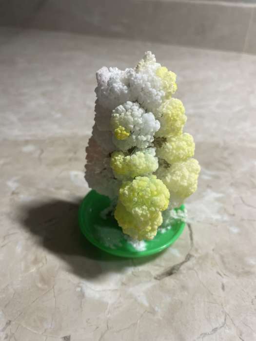 Фотография покупателя товара Набор для выращивания кристалла «Волшебное дерево» цвет зелёный - Фото 9
