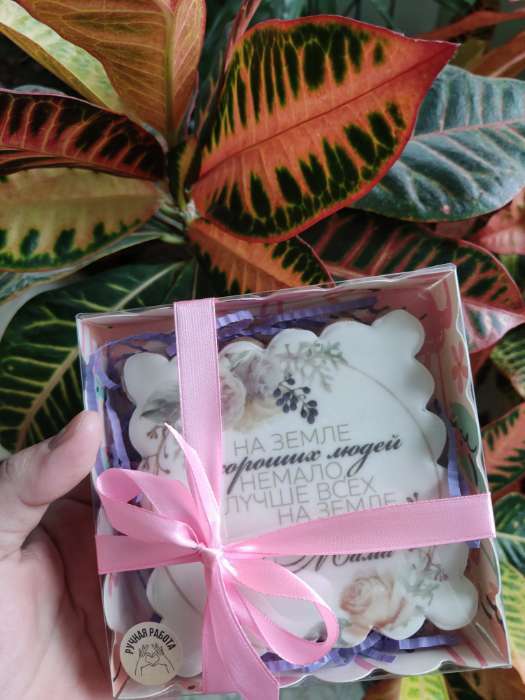 Фотография покупателя товара Коробочка для печенья с PVC крышкой, "Парочка", 12 х 12 х 3 см - Фото 1