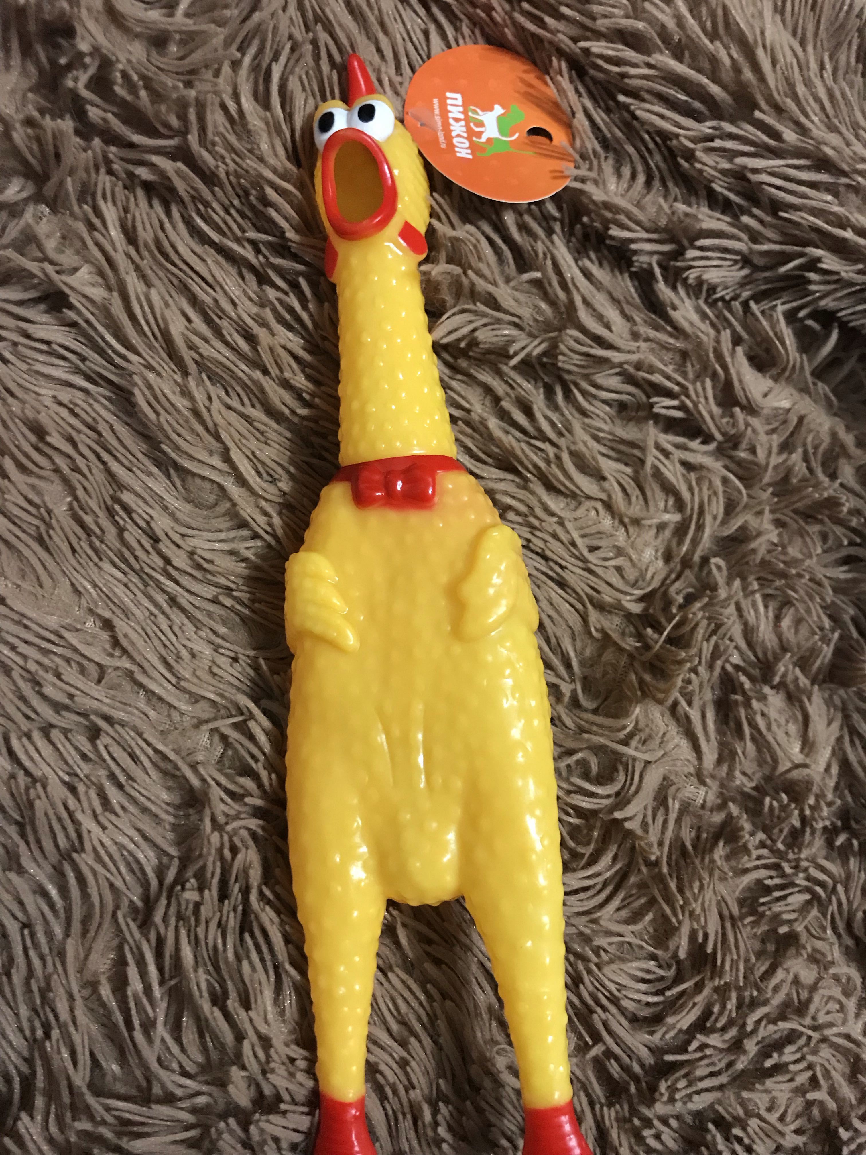 Фотография покупателя товара Игрушка пищащая "Задумчивая курица" для собак, 28 см, жёлтая - Фото 19