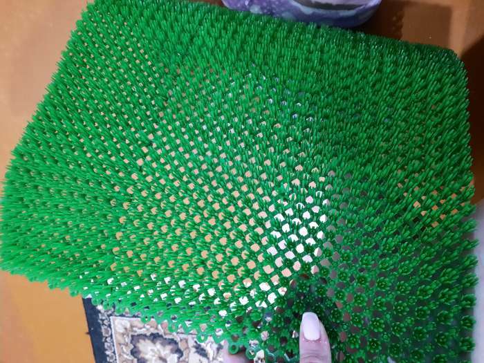 Фотография покупателя товара Покрытие ковровое щетинистое без основы «Травка», 40×53 см, цвет зелёный - Фото 1