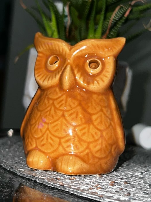 Фотография покупателя товара Аромалампа для эфирных масел «Растерянный совёнок», керамика, 8×6.5×5.5 см, МИКС - Фото 2