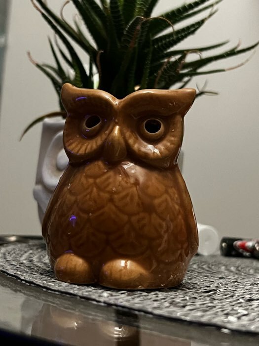 Фотография покупателя товара Аромалампа для эфирных масел «Растерянный совёнок», керамика, 8×6.5×5.5 см, МИКС - Фото 1