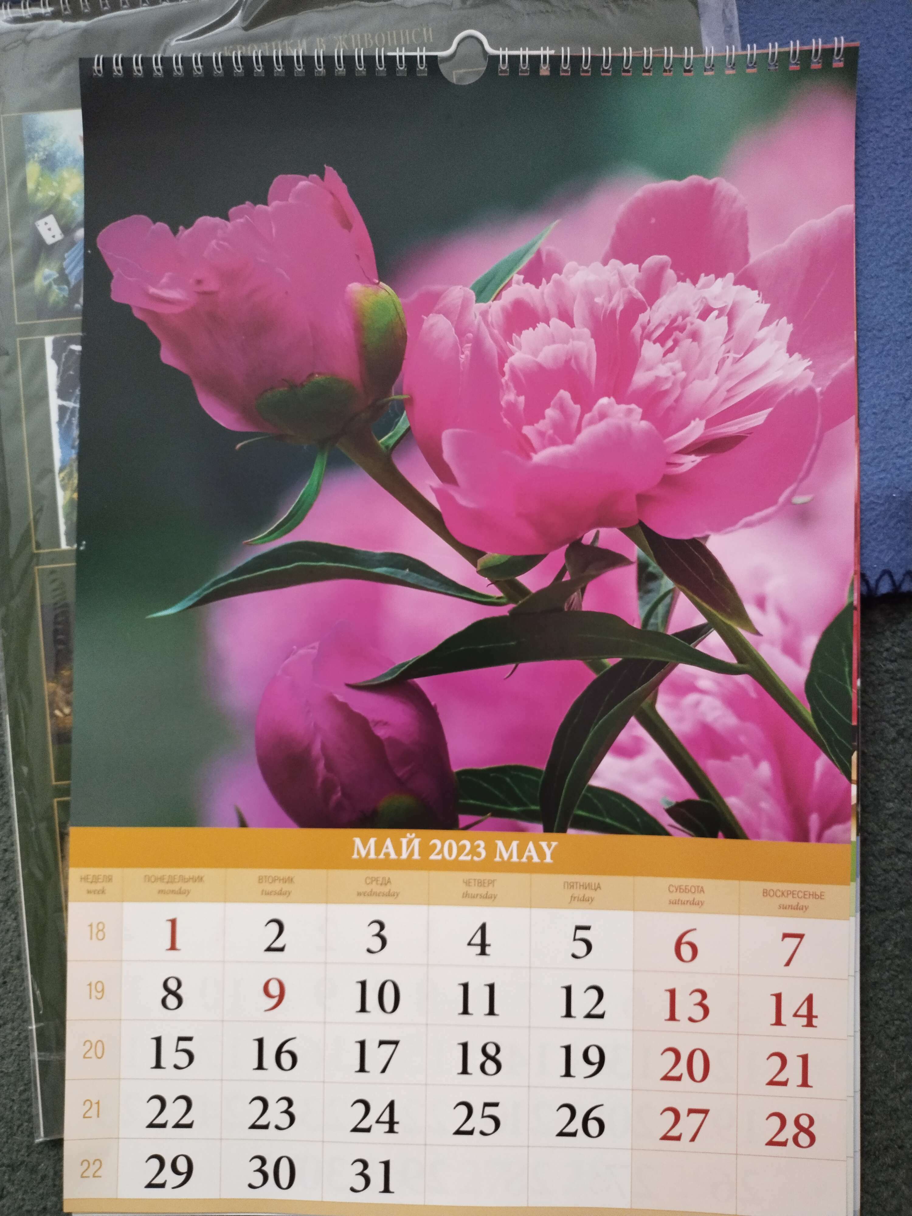 Фотография покупателя товара Календарь перекидной на ригеле "Пионы и Розы" 2023 год, 320х480 мм - Фото 4