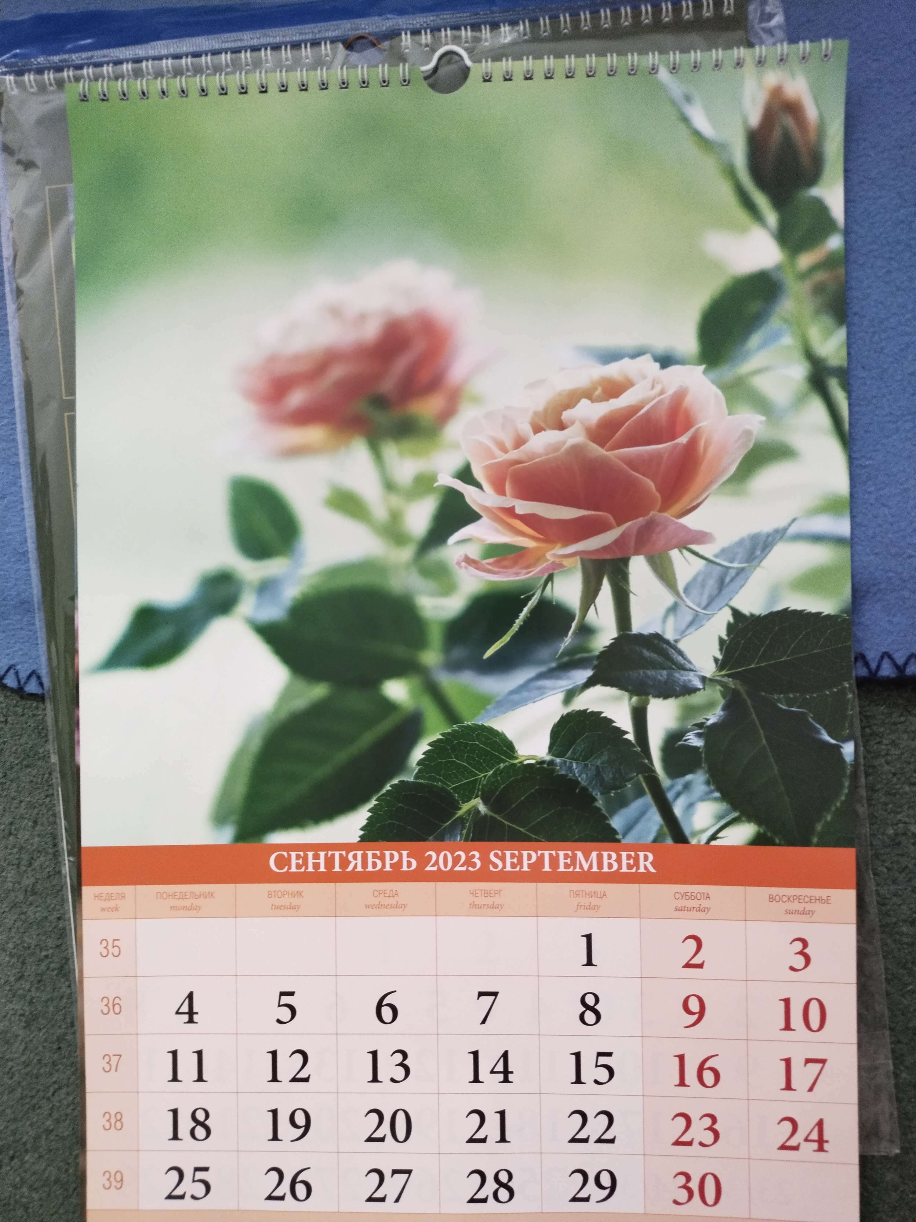 Фотография покупателя товара Календарь перекидной на ригеле "Пионы и Розы" 2023 год, 320х480 мм - Фото 2