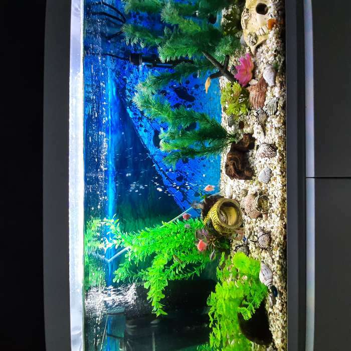 Фотография покупателя товара Растение искусственное аквариумное кустовое, 10 см, зеленый - Фото 1