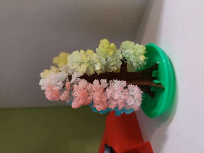 Фотография покупателя товара Набор для выращивания кристалла «Волшебное дерево» цвет красный - Фото 2
