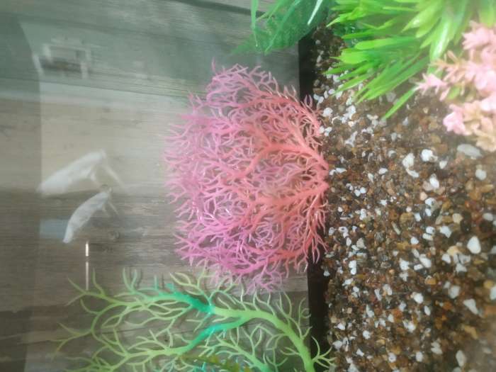 Фотография покупателя товара Растение искусственное аквариумное, светящееся, 15 см, зелёное - Фото 1