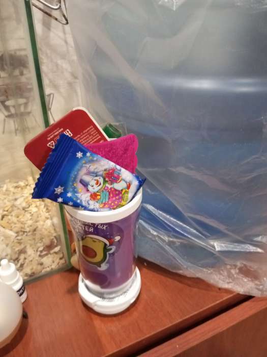 Фотография покупателя товара Термостакан новогодний пластиковый «Пусть год будет сладким», 250 мл - Фото 3