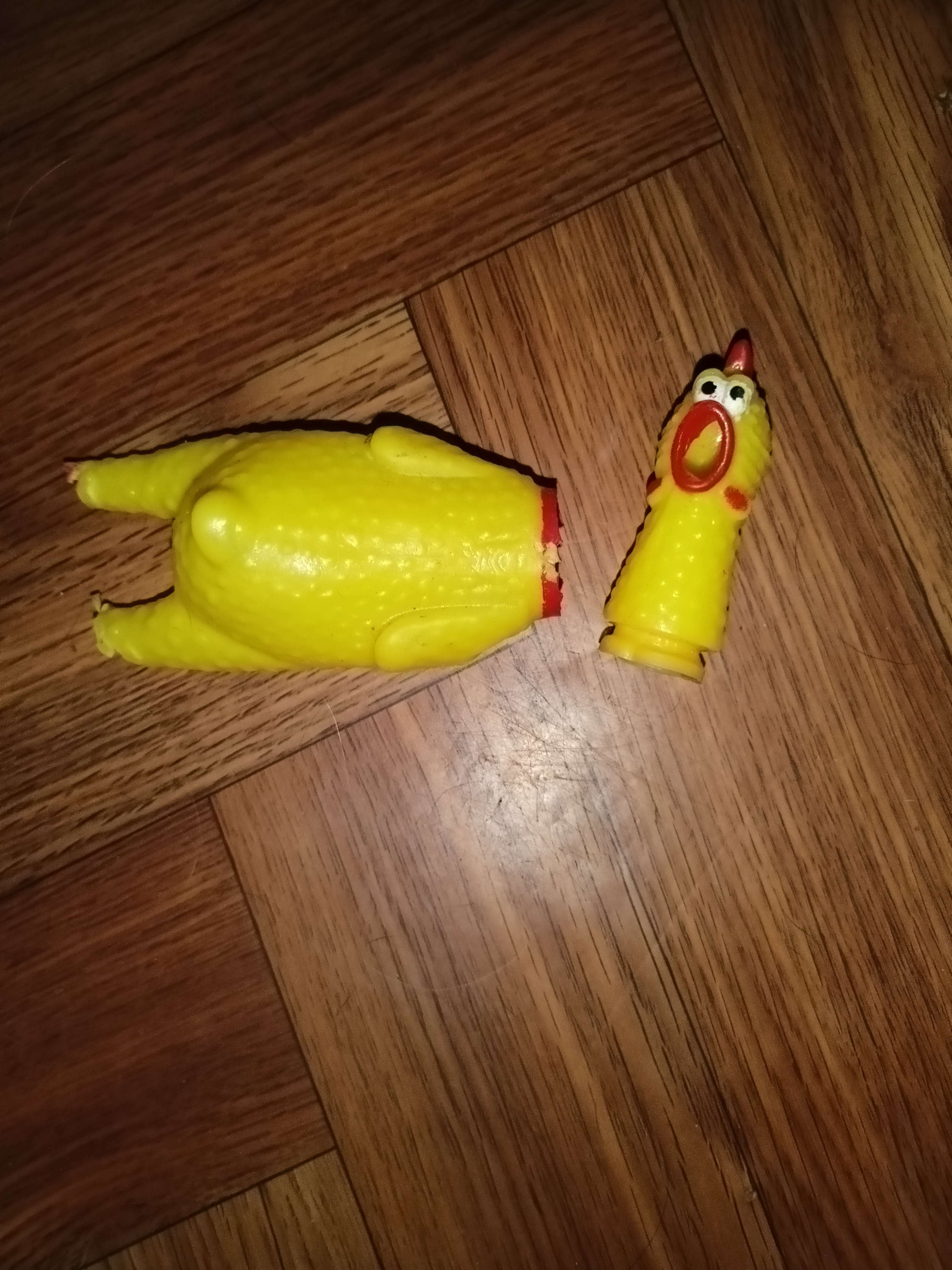Фотография покупателя товара Игрушка пищалка «Курица», 16 см, в лапах - Фото 1