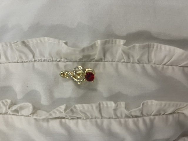 Фотография покупателя товара Брошь «Скрипичный ключ» мини, вдохновение, цвет бело-красный в золоте