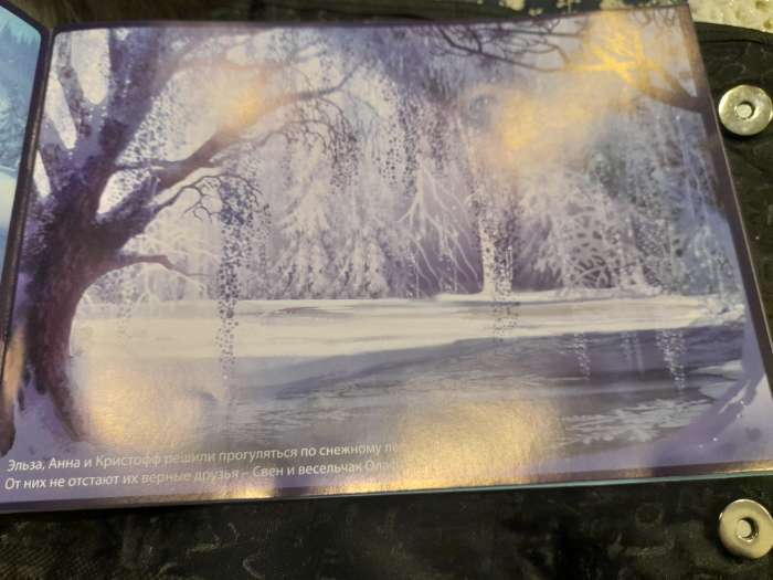 Фотография покупателя товара Альбом 250 наклеек «Холодное сердце», 17 × 24 см, 12 стр., Дисней - Фото 1