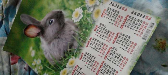 Фотография покупателя товара Календарь листовой "Символ Года 2023 - 16" 2023 год, бумага, А3 - Фото 2