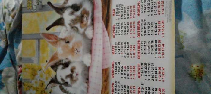 Фотография покупателя товара Календарь листовой "Символ Года 2023 - 5" 2023 год, бумага, А3