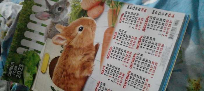 Фотография покупателя товара Календарь листовой "Символ Года 2023 - 13" 2023 год, бумага, А3 - Фото 2