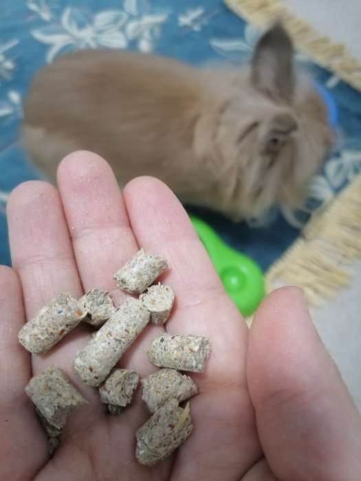 Фотография покупателя товара Корм гранулированный «Ешка» для декоративных кроликов, полезные гранулы, 400 г - Фото 1