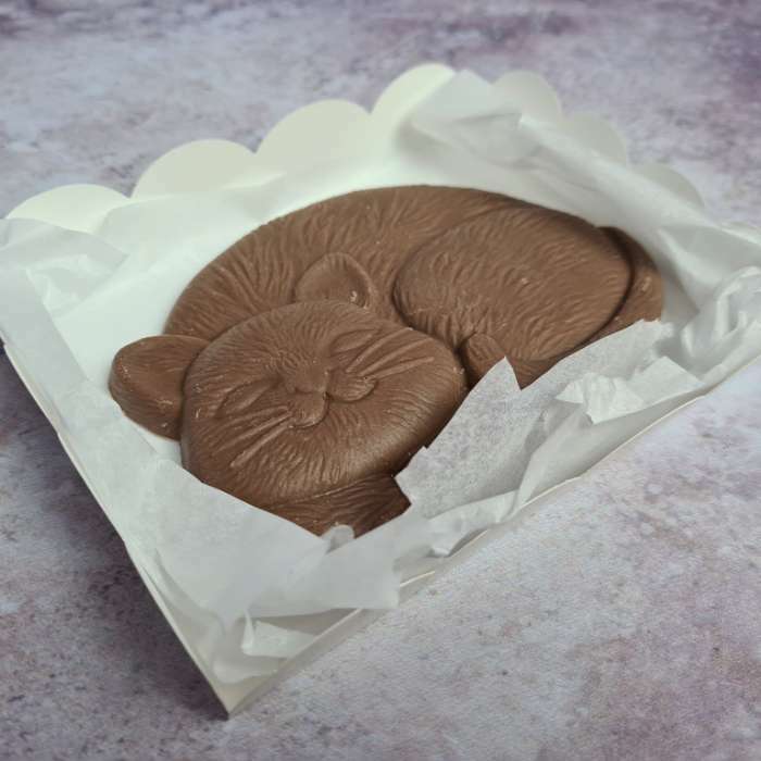 Фотография покупателя товара Форма для шоколада и конфет «Кисонька», 127×93×14 мм, пластик, прозрачная - Фото 3