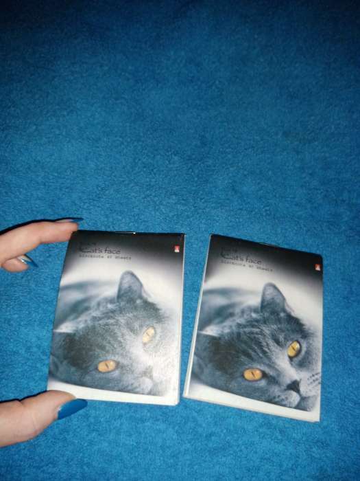 Фотография покупателя товара Блокнот А7, 40 листов в клетку на скрепке "Кошки", МИКС - Фото 2