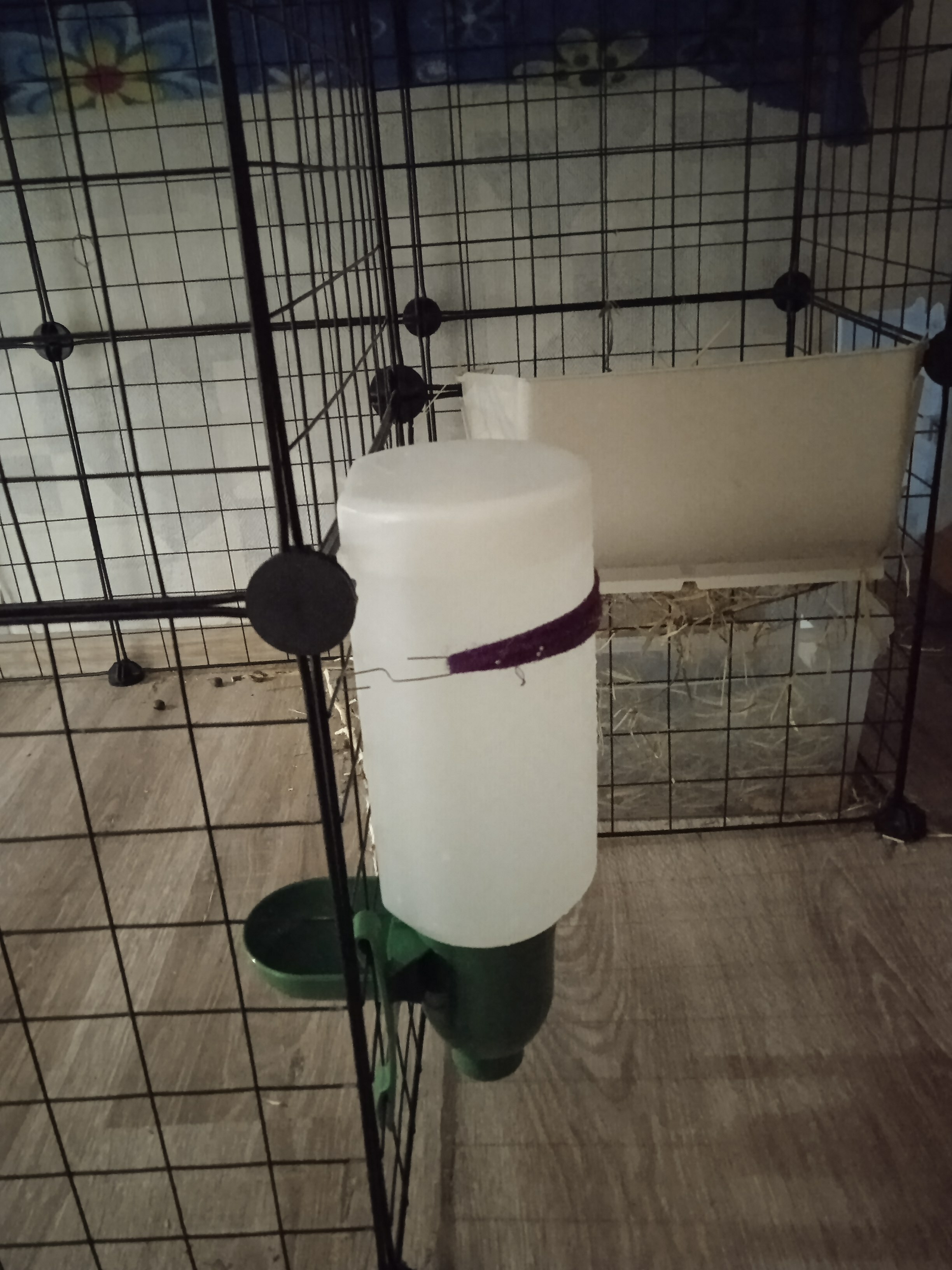 Фотография покупателя товара Поилка чашечная для домашней птицы, навесная, 2 л, пластик, МИКС - Фото 1