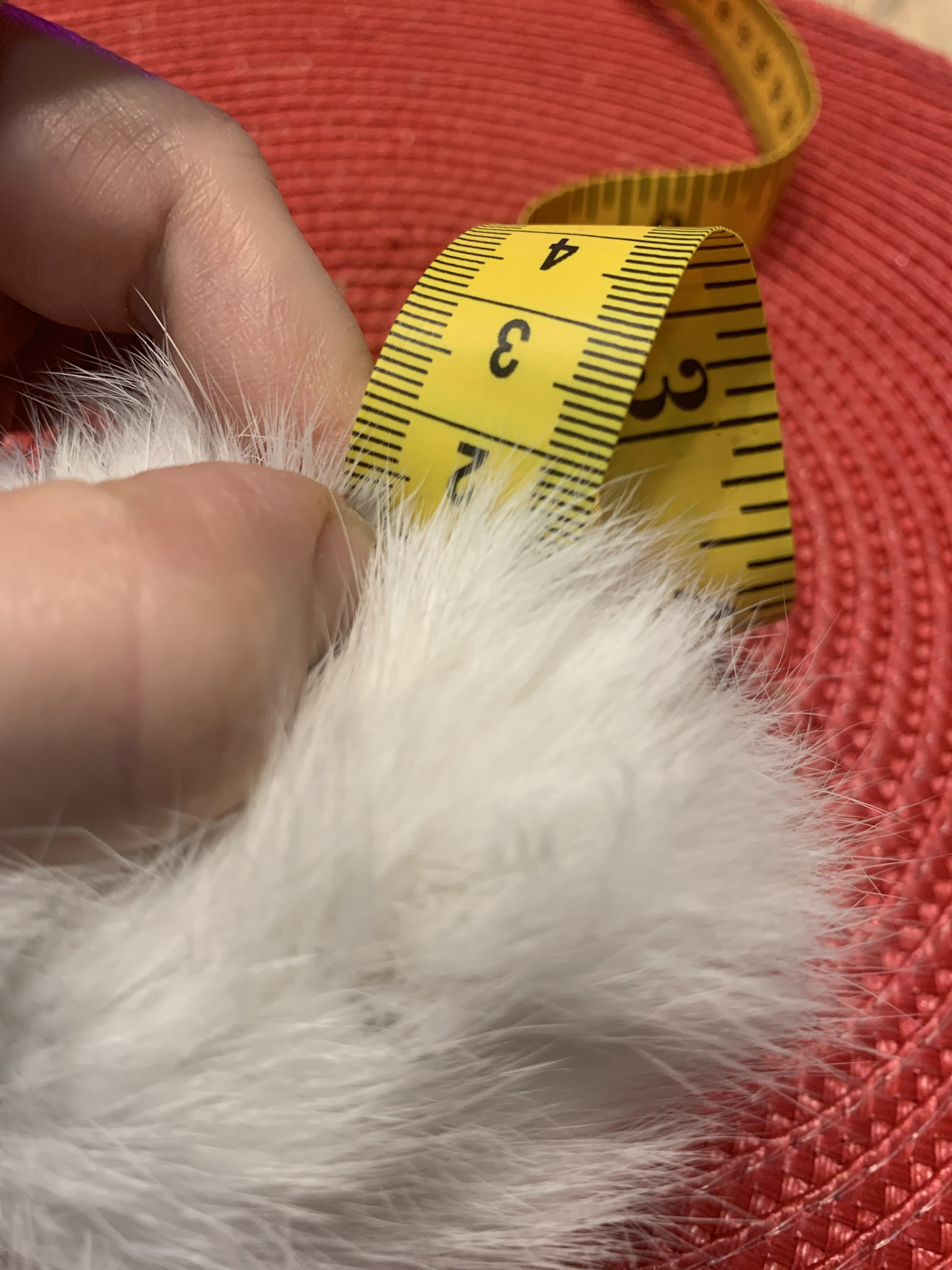 Фотография покупателя товара Помпон из натурального меха зайца, размер 1 шт: 9 см, цвет белый - Фото 4