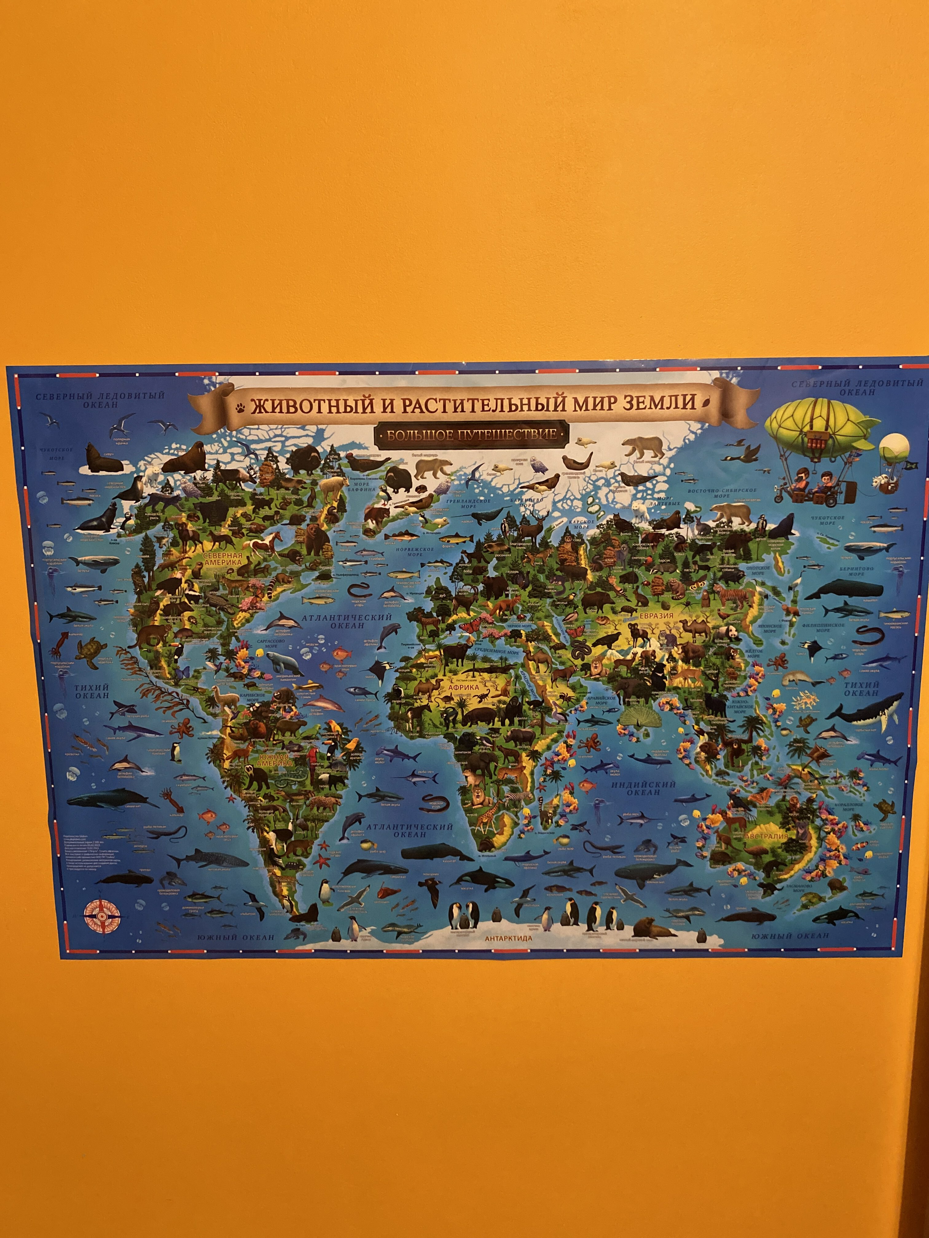 Фотография покупателя товара Карта Мира географическая для детей "Животный и растительный мир Земли", 101 х 69 см, ламинированная - Фото 4