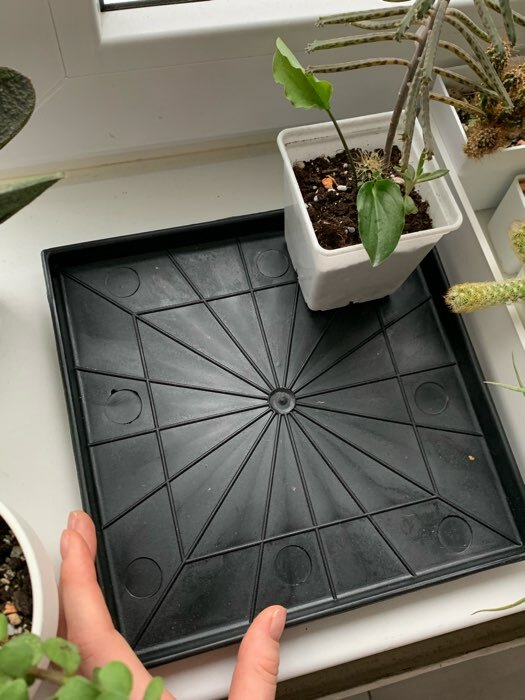 Фотография покупателя товара Горшок для рассады, 500 мл, 9×9×10 см, пластиковый, белый - Фото 12