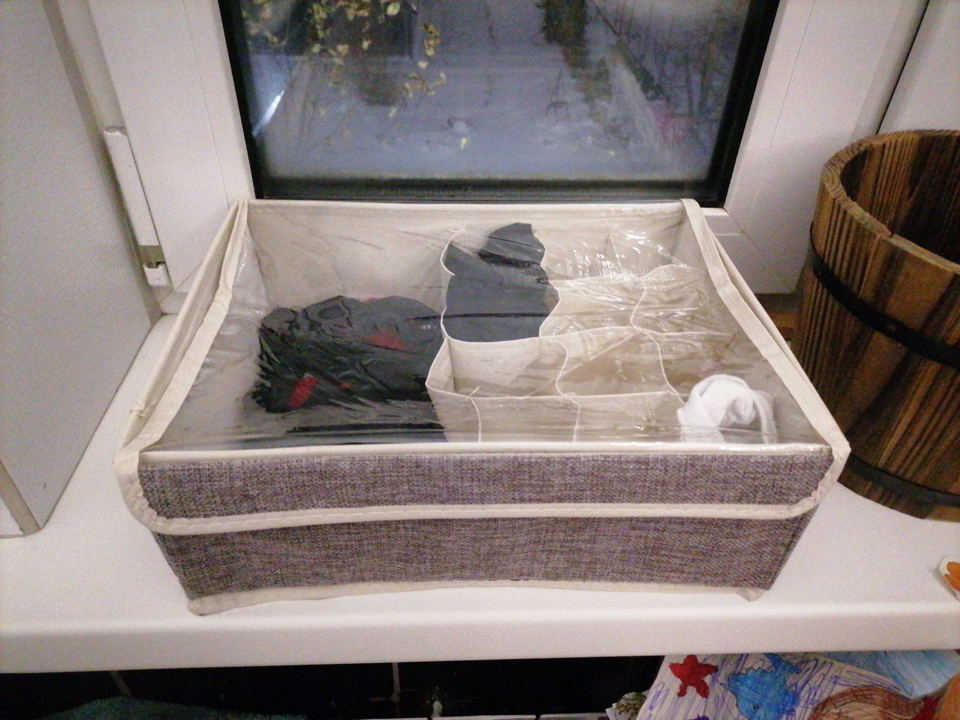 Фотография покупателя товара Органайзер для хранения белья с прозрачной крышкой Доляна «Тео», 13 ячеек, 32×23×12 см, цвет серый - Фото 2