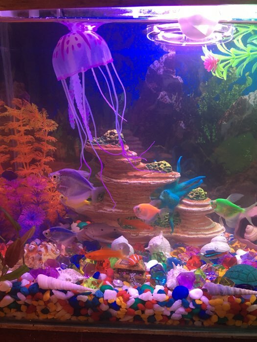 Фотография покупателя товара Декор для аквариума "Медуза" силиконовая, флуоресцентная, 5 х 5 х 15 см, фиолетовая - Фото 3