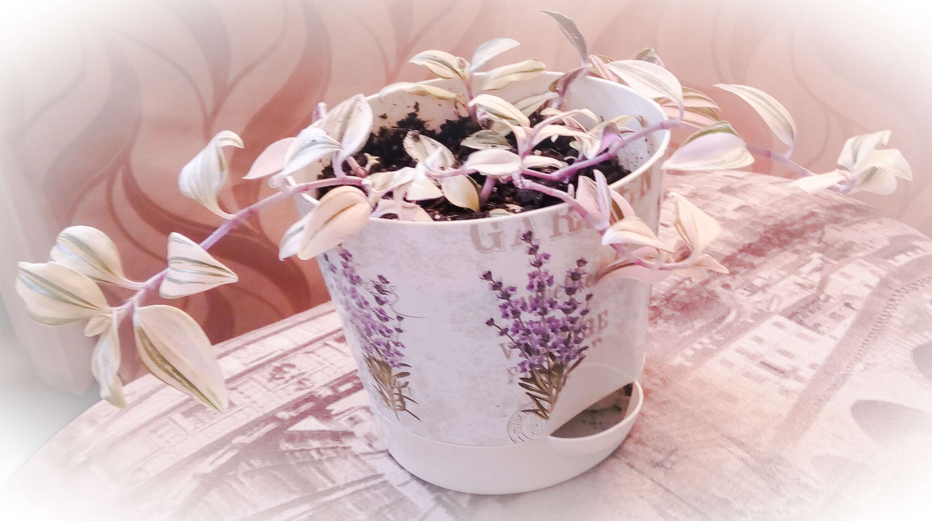 Фотография покупателя товара Горшок для цветов с прикорневым поливом «Ника Деко. Лаванда», 1,6 л - Фото 3