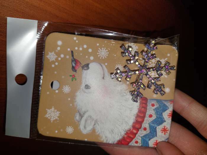 Фотография покупателя товара Брошь новогодняя "Снежинка" малая, цвет радужный в серебре