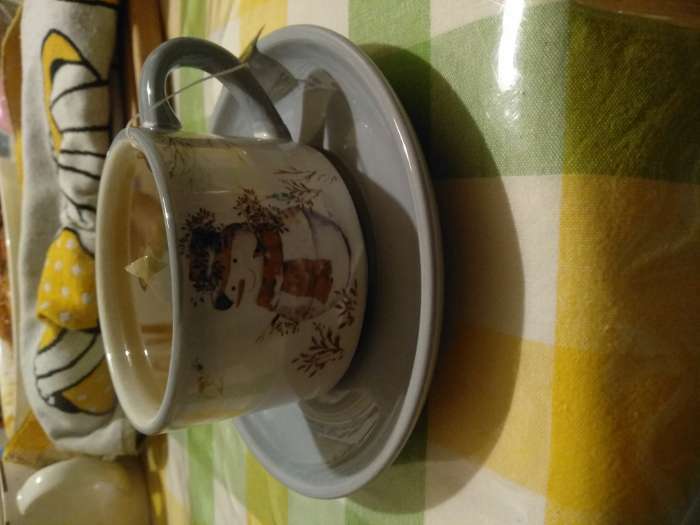 Фотография покупателя товара Чайная пара Доляна «Лесная сказка», 2 предмета: чашка 210 мл, блюдце d=15 см - Фото 5