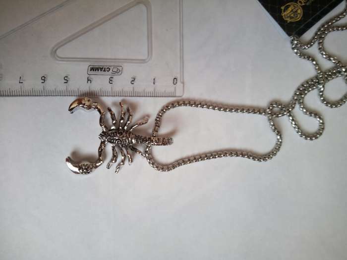 Фотография покупателя товара Кулон-амулет «Помпеи» скорпион, цвет чернёное серебро, 70 см - Фото 1
