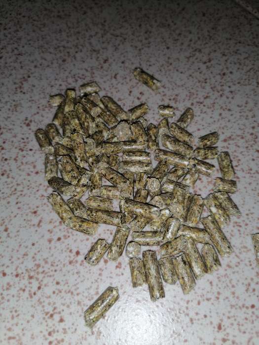 Фотография покупателя товара Корм "ЗООМИР Луговые травы" для кроликов и грызунов, гранулы, 800 г