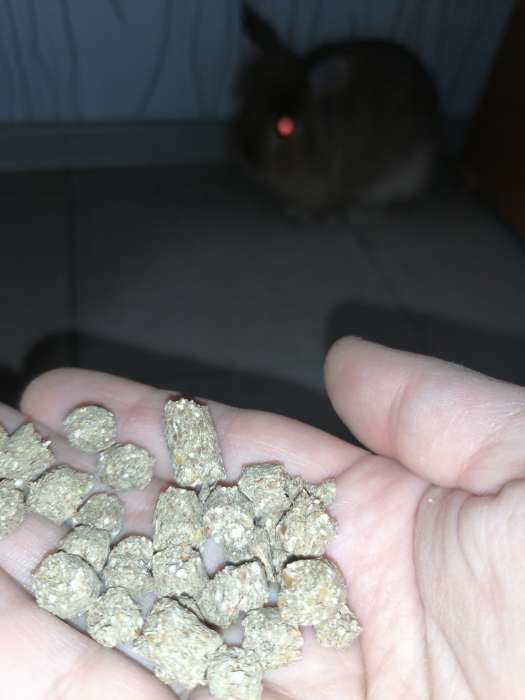 Фотография покупателя товара Корм гранулированный «БРИЛЛИАНТ» для кроликов, 250 г - Фото 2