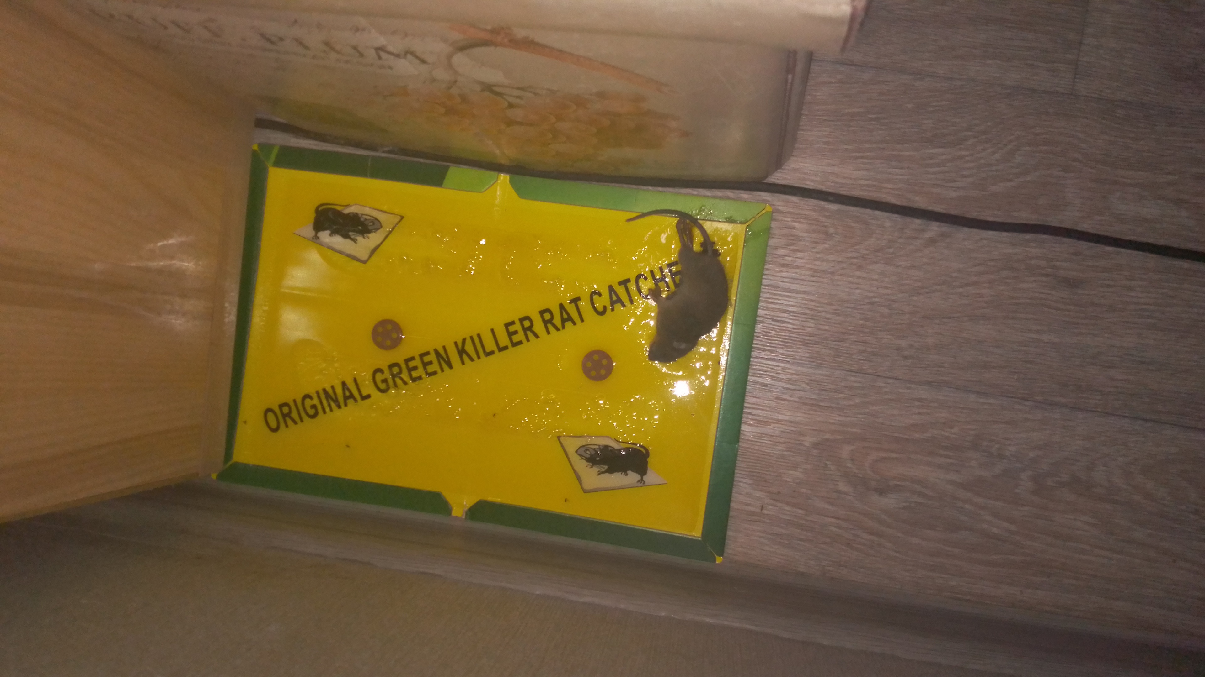 Фотография покупателя товара Клеевая ловушка от крыс и мышей, книжка - Фото 1