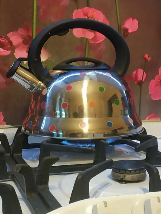 Фотография покупателя товара Чайник со свистком из нержавеющей стали Доляна «Горошек», 2,8 л, цвет хромированный - Фото 2